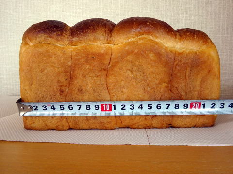 パンのトラの横の長さ