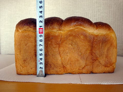 パンのトラの縦の長さ