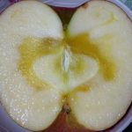 蜜がハンパない!これが通販で人気の訳ありリンゴ